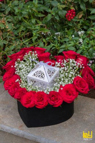 Photos by Artist Shoppie